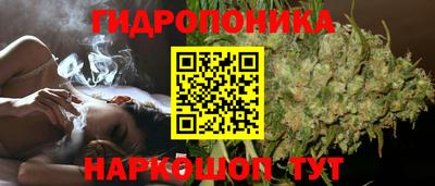 кокс Ливны