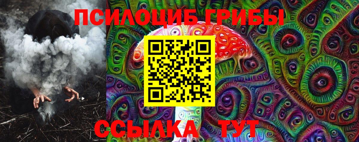 Псилоцибиновые грибы MAGIC MUSHROOMS  Галлюциногенные грибы мицелий  Вход с VPN  купить  цена  Димитровград 