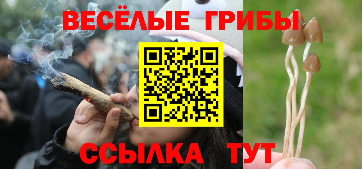 Галлюциногенные грибы GOLDEN TEACHER Димитровград
